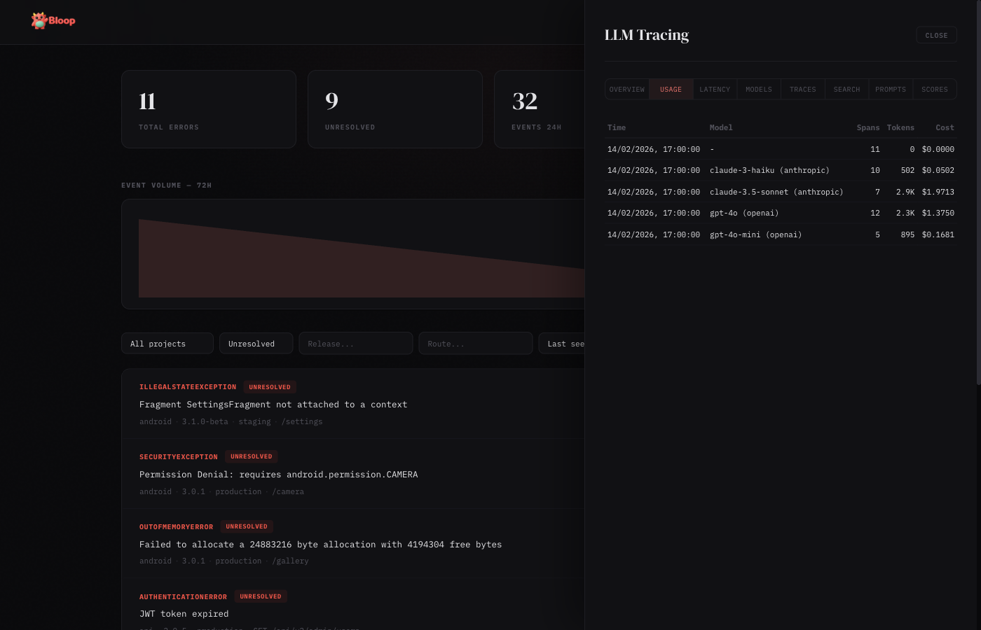 LLM Usage tab showing hourly token and cost breakdown by model